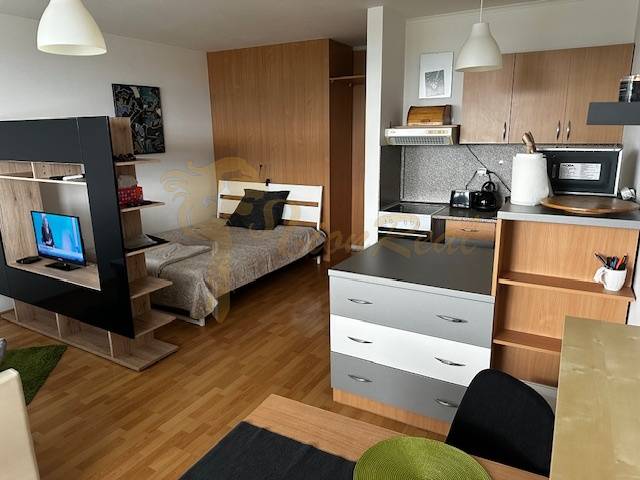 Innenraum einer Einzimmerwohnung mit Holzboden, Bett und Fernseher.