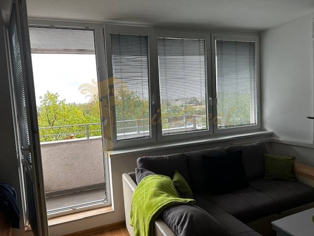 Helles Wohnzimmer in einer Einzimmerwohnung mit Sofa und Balkontüren.