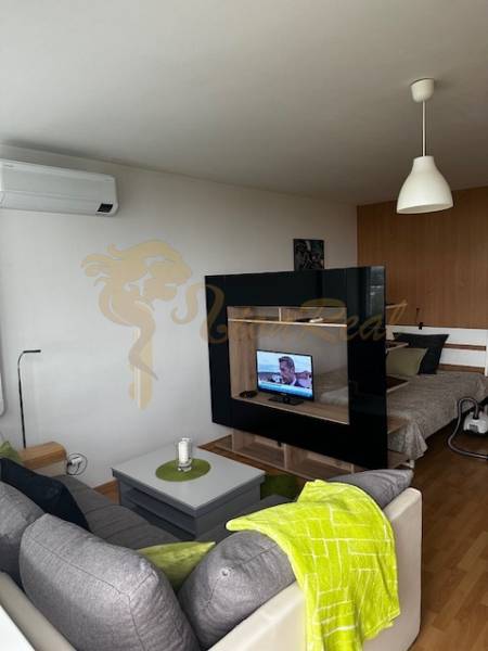 Wohnzimmer in einer Einzimmerwohnung mit Holzboden und abgetrenntem Schlafzimmer.