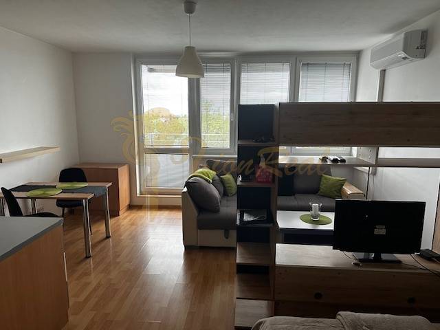 Wohnzimmer in einer Einzimmerwohnung mit Holzboden und Einrichtung.