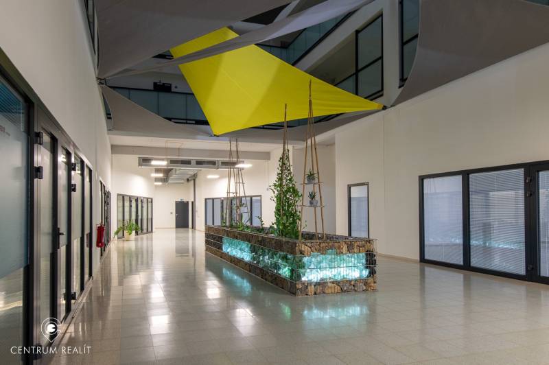 Flur mit Pflanzen und geometrischen Vorhängen in einer Zweizimmerwohnung.