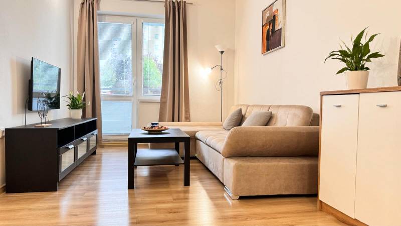 Wohnzimmer in einer 2-Zimmer-Wohnung mit Sofa, Holzboden und Fernseher.
