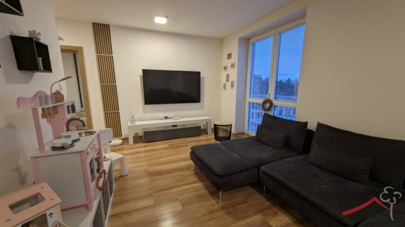 Wohnzimmer in einer Zweizimmerwohnung mit dunklem Sofa und Boden in Holzoptik.