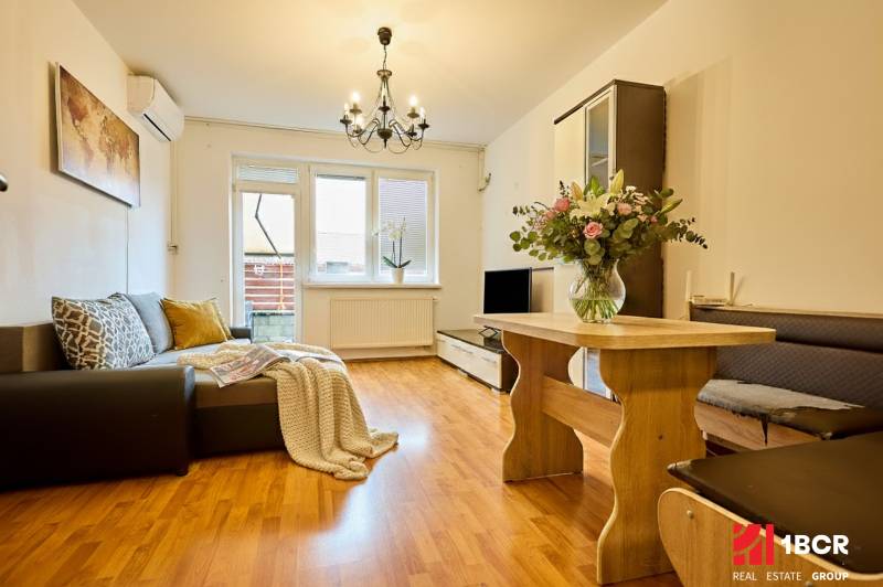 Wohnzimmer in einer 2-Zimmer-Wohnung mit Holzboden und Sofa.