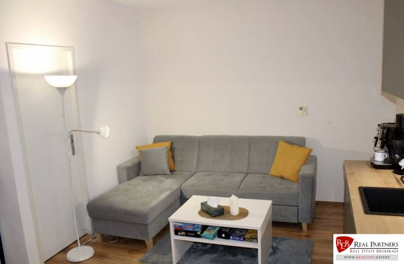 Wohnzimmer in einer Zweizimmerwohnung mit grauem Sofa, Couchtisch und Holzboden.