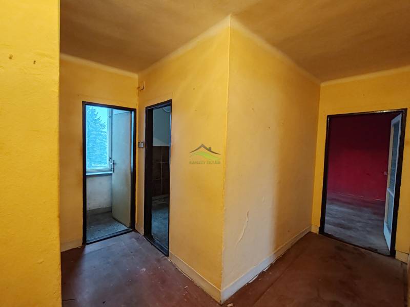 Ein Flur mit drei Räumen in einer 2-Zimmer-Wohnung mit einem Boden in Holzoptik.