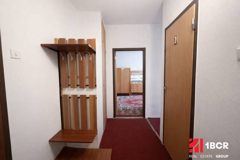 Der Flur einer Einzimmerwohnung mit einer Garderobenwand und Blick in das Zimmer mit Teppich.