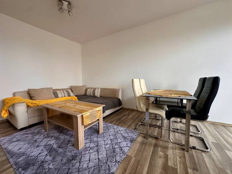 Wohnzimmer einer 3-Zimmer-Wohnung mit Sofa, Tisch und Boden in Holzoptik.