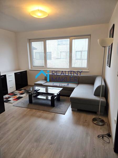 Wohnzimmer mit Sofa, Tisch und Holzboden in einer Einzimmerwohnung.