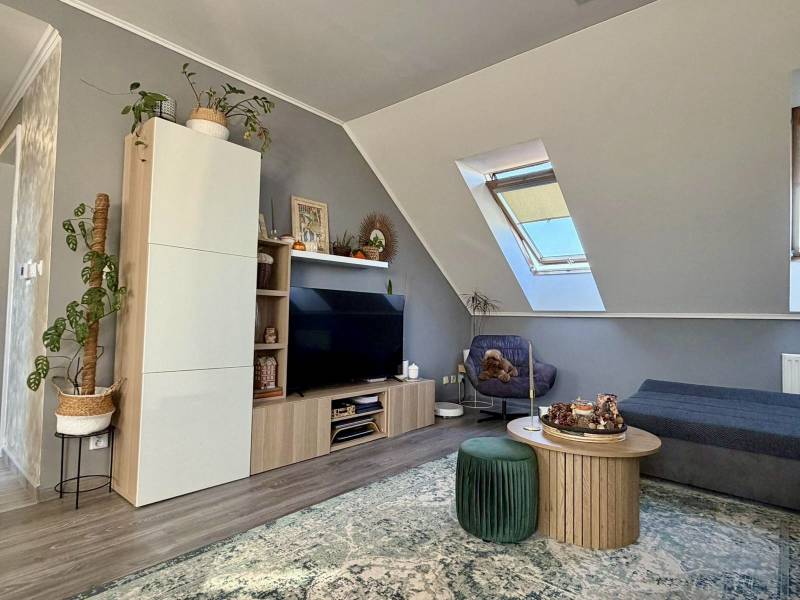 Wohnzimmer in einer 2-Zimmer-Wohnung mit Dachfenster, Holzboden, bequeme Möbel.