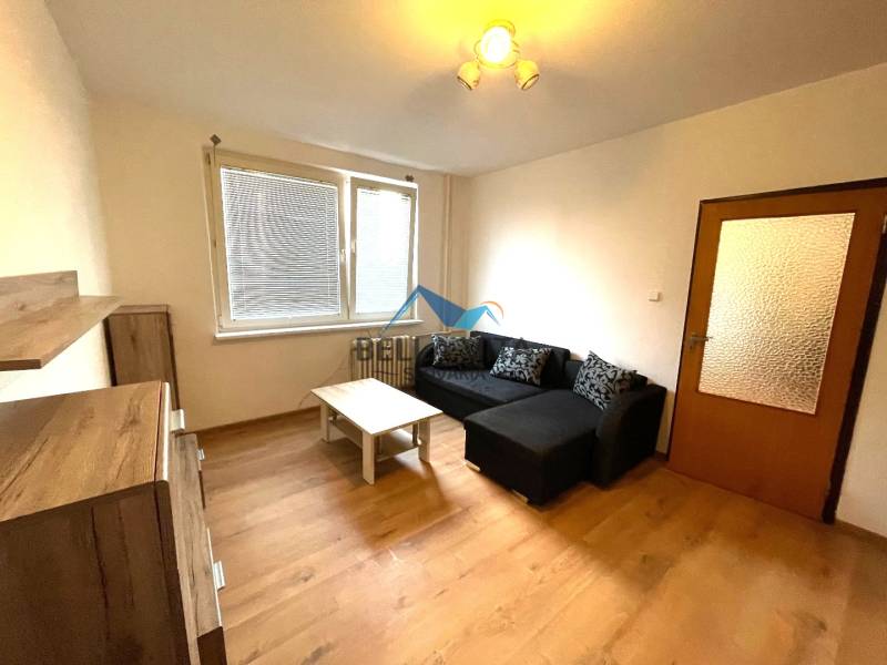 Wohnzimmer in einer Einzimmerwohnung mit einem Sofa und einem Boden in Holzoptik.