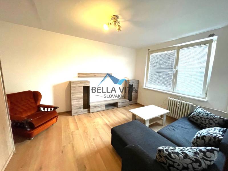 Wohnzimmer mit Holzboden in einer Einzimmerwohnung mit Sofa, Sessel und Schrank.