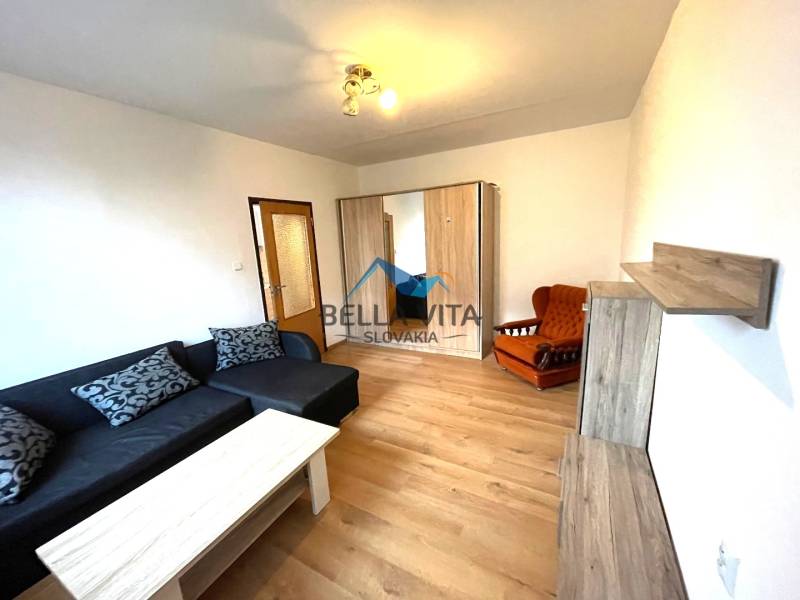 Wohnzimmer in einer Einzimmerwohnung mit einem Sofa und einem Boden in Holzoptik.