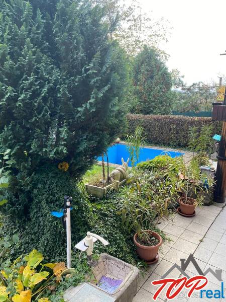 Der Garten des Ferienhauses in Košice - Stadtteil Vyšné Opátske mit Pool und Pflanzen.