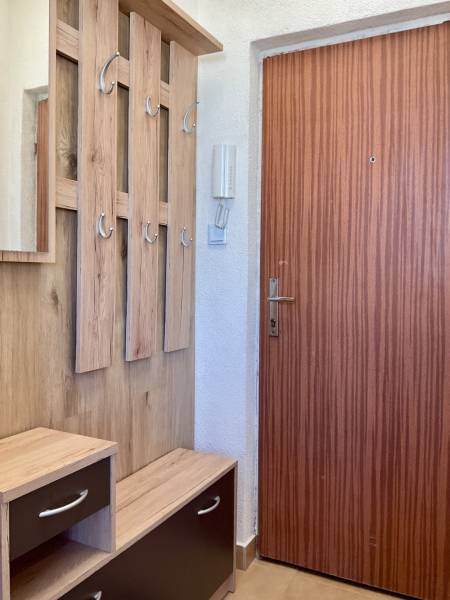 Eingangsflur in einer Einzimmerwohnung mit Garderobenwand und Holzelementen.