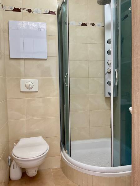 Badezimmer mit Dusche und Toilette in einer Einzimmerwohnung.