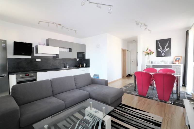 Wohnzimmer mit Küchenzeile, grauem Sofa, Glastisch und roten Stühlen.