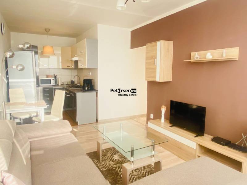 Wohnzimmer in einer 2-Zimmer-Wohnung mit Sofa, Fernseher, Küche und Holzboden.