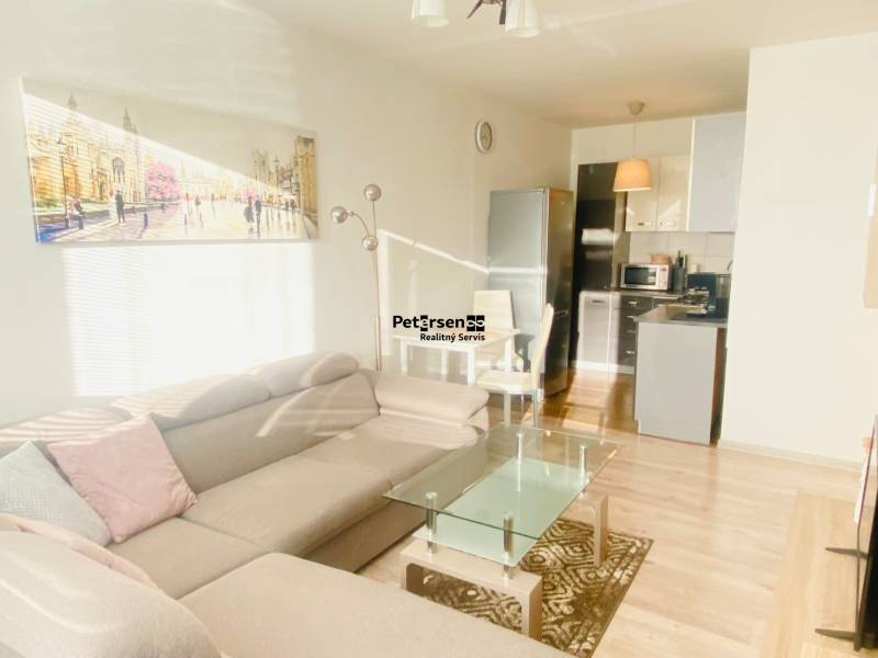 Wohnzimmer mit Sofa und Küche, 2-Zimmer-Wohnung, Holzboden.