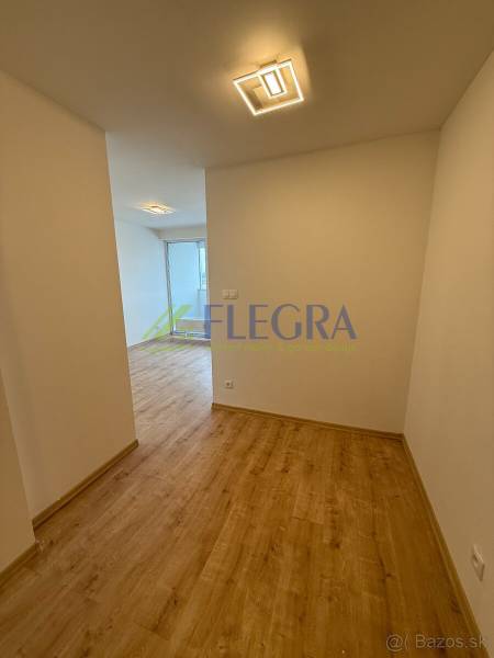 Der Flur in einer Einzimmerwohnung mit einem Boden in Holzoptik und einer modernen Leuchte.