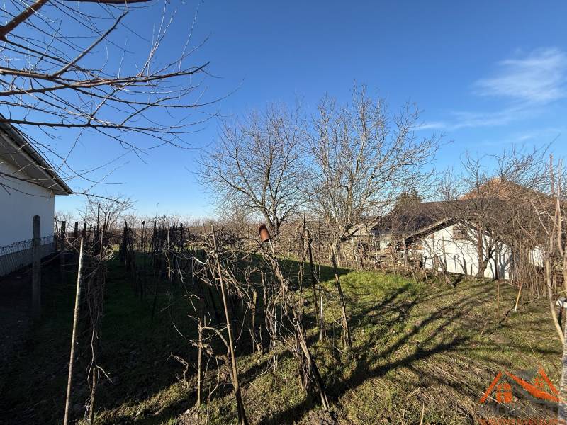 Baugrundstück in der Friedhofstraße in Svätý Peter mit Obstbäumen.