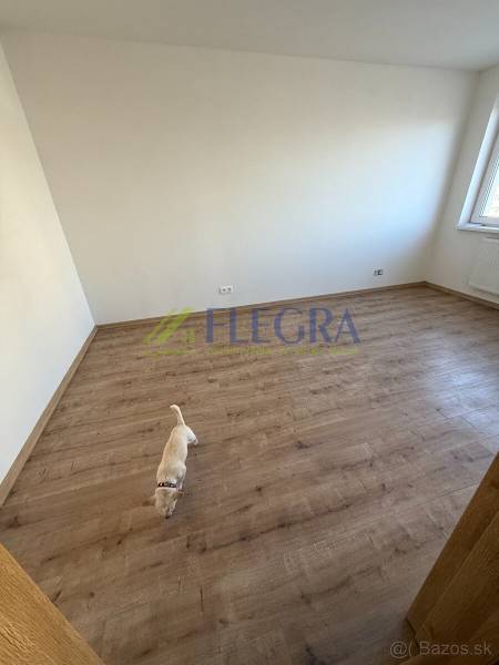 Ein Zimmer in einer 2-Zimmer-Wohnung mit Holzboden und einem kleinen Hund.