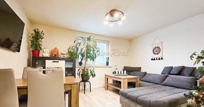 Wohnzimmer mit Sofa, Esstisch, Zimmerpflanzen und Boden mit Holzdekor.