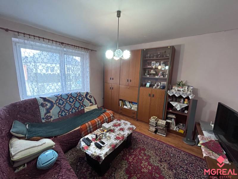 Wohnzimmer in einem Einfamilienhaus mit dekorativem Teppich und Sofa.