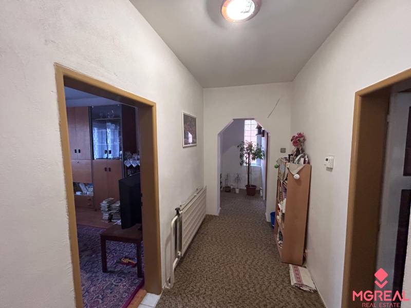 Der Flur mit Teppich und Zimmerpflanzen im Einfamilienhaus.