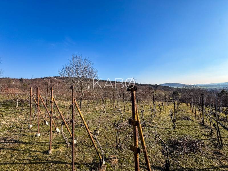 Weinberge in der Ambrova-Straße in Nitra mit Blick auf die umliegende Landschaft.