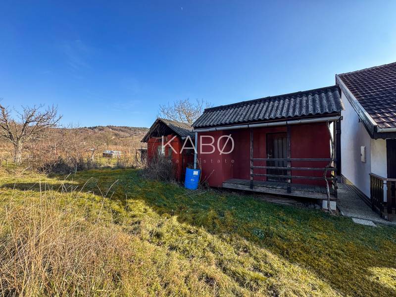 In der Ambrovej-Straße in Nitra sind bescheidene Holzhütten zwischen den Weinbergen zu sehen.