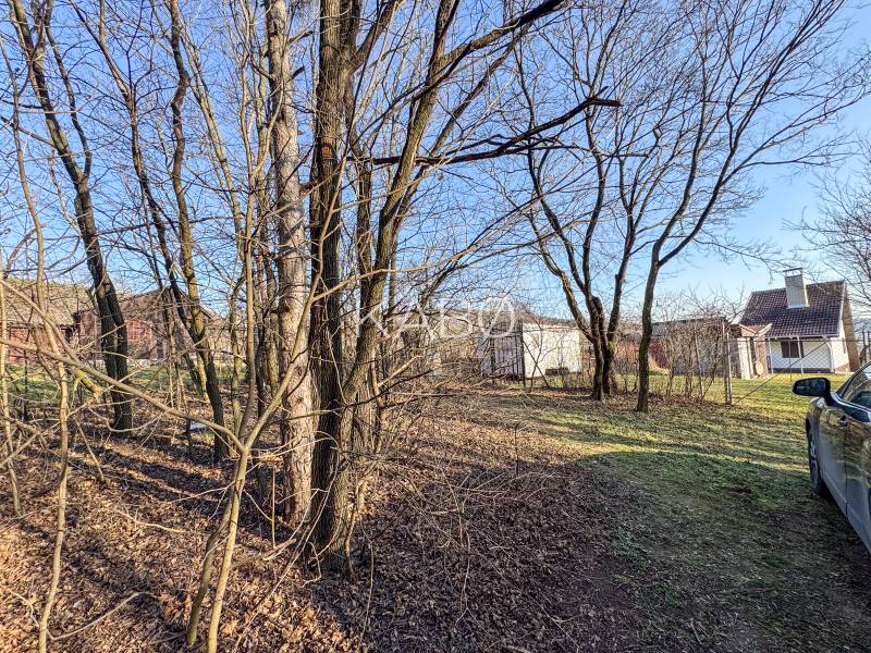 Ein Garten mit kahlen Bäumen und Häusern in der Ambrova-Straße in den Weinbergen von Nitra.