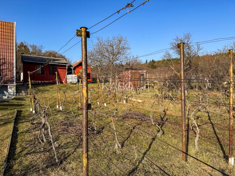 Weinberge in der Ambrova-Straße in Nitra mit Hütten und Leitungen.
