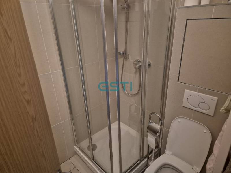 Duschkabine und Toilette im Badezimmer einer Einzimmerwohnung.