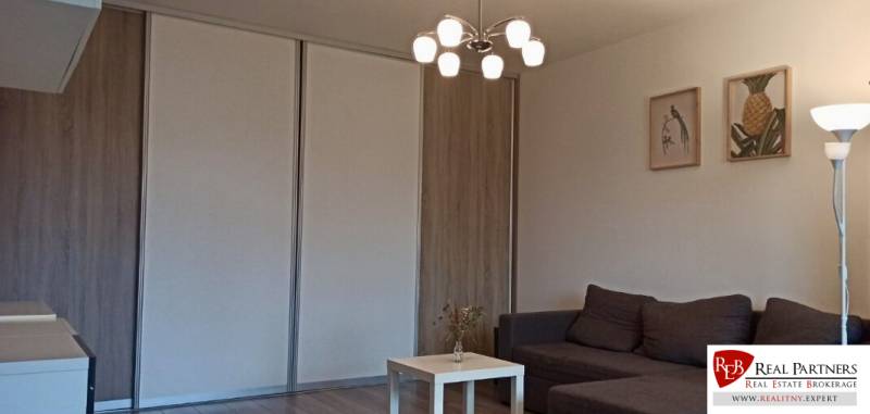 Wohnzimmer mit Sofa, Tisch und Holzboden in einer 2-Zimmer-Wohnung.