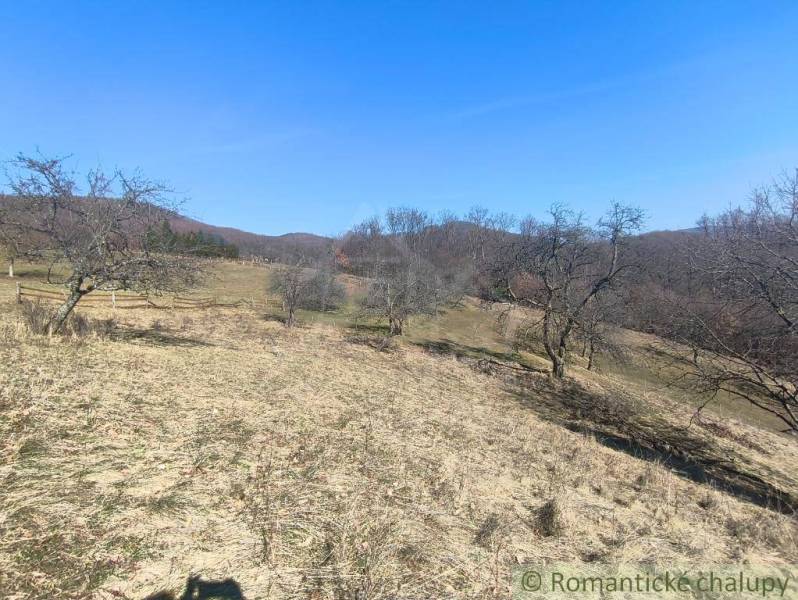 Kopcovité Gärten in der Umgebung von Nová Baňa mit kahlen Bäumen und blauem Himmel.