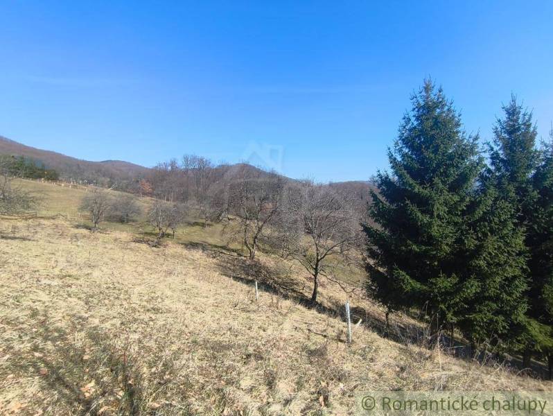 Hügelige Landschaft in den Gärten bei Nová Baňa mit Grasflächen und Bäumen.