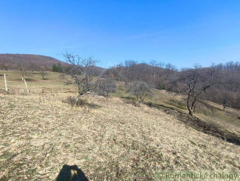 Hügelige Landschaft in den Gärten in Nová Baňa mit vereinzelten Bäumen und blauem Himmel.