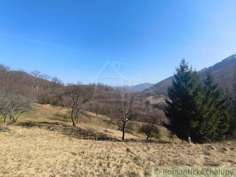 Die natürliche Landschaft in der Umgebung von Nová Baňa mit Bäumen und Hügeln in Záhrady.