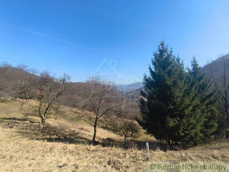 Gärten in Nová Baňa mit Laub- und Nadelbäumen auf hügeligem Gelände unter blauem Himmel.
