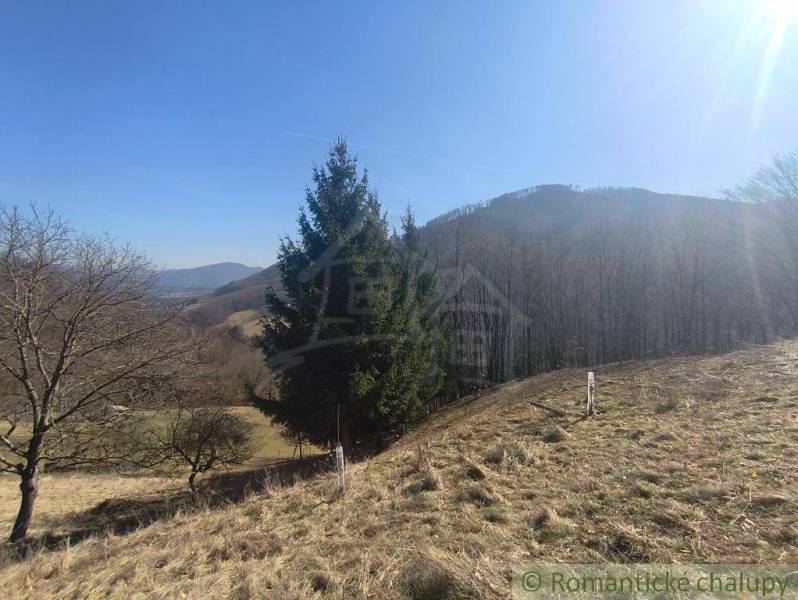Landschaft mit Bäumen und Hügeln in der Umgebung von Nová Baňa in den Gärten.