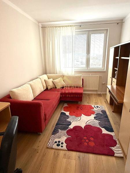 Ein Zimmer in einer 3-Zimmer-Wohnung mit einem roten Sofa, einem Teppich und einem Boden mit Holzdekor.