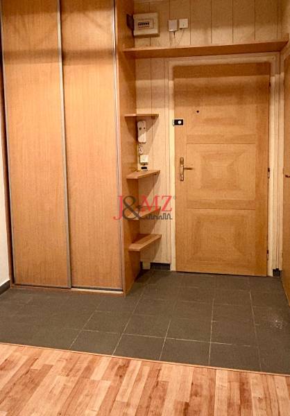 Eingangsbereich einer 2-Zimmer-Wohnung mit Holzboden und geräumigem Schrank.