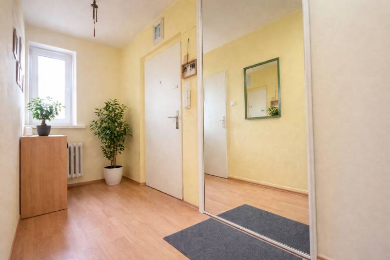 Heller Flur mit Holzboden, Spiegel und Zimmerpflanzen in einer 2-Zimmer-Wohnung.