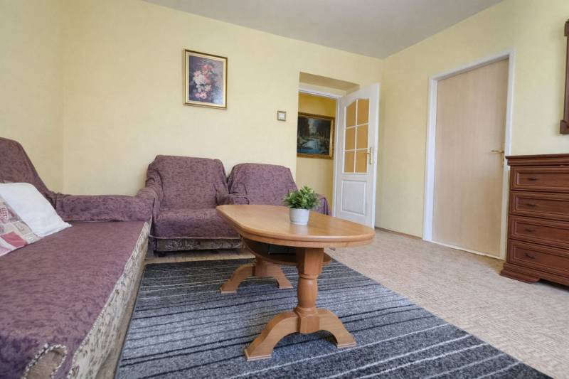 Wohnzimmer mit Sofa, Sessel, Teppich und Tisch in einer 2-Zimmer-Wohnung, Boden mit Holzdekor.