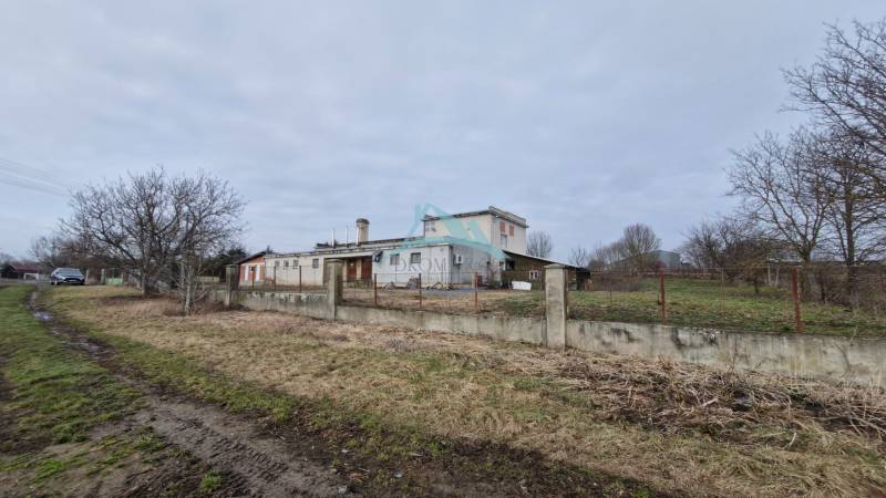 Produktionsräume in Lesenice mit eingezäuntem Grundstück, neben einer staubigen Straße und Bäumen.