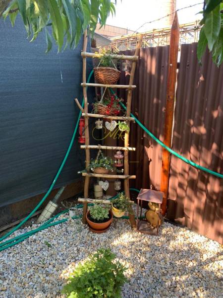 Gärten in Dolné Krškany in Nitra mit einer dekorativen Leiter und Blumentöpfen auf einem Kiesuntergrund.