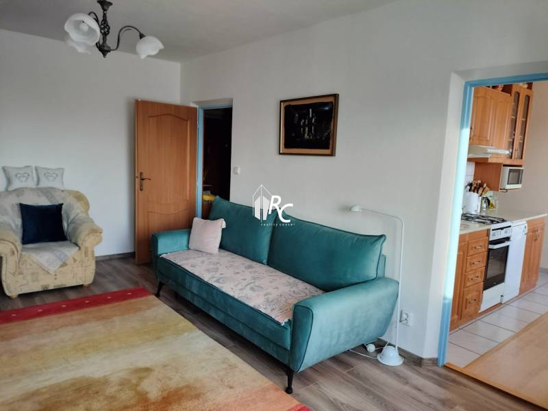 Wohnzimmer in einer 2-Zimmer-Wohnung mit Sofa und Sessel, Holzboden.