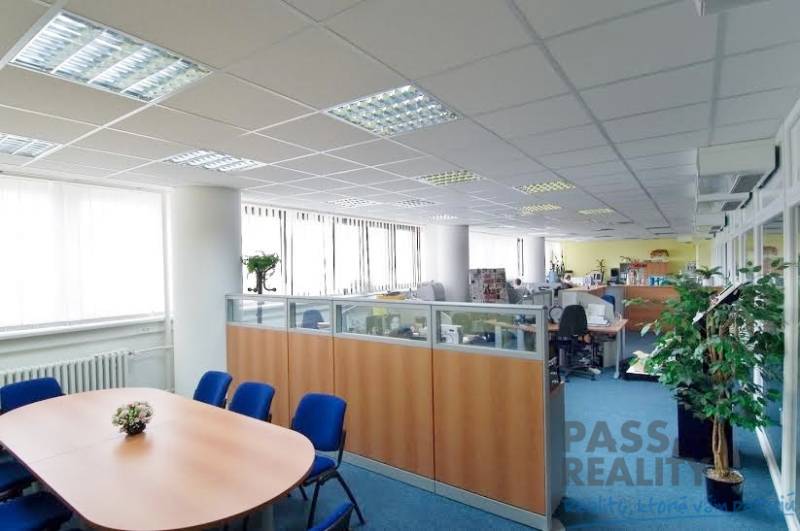 Büros mit blauem Teppichboden, große Fenster, unterteilte Arbeitsbereiche, Konferenztisch.