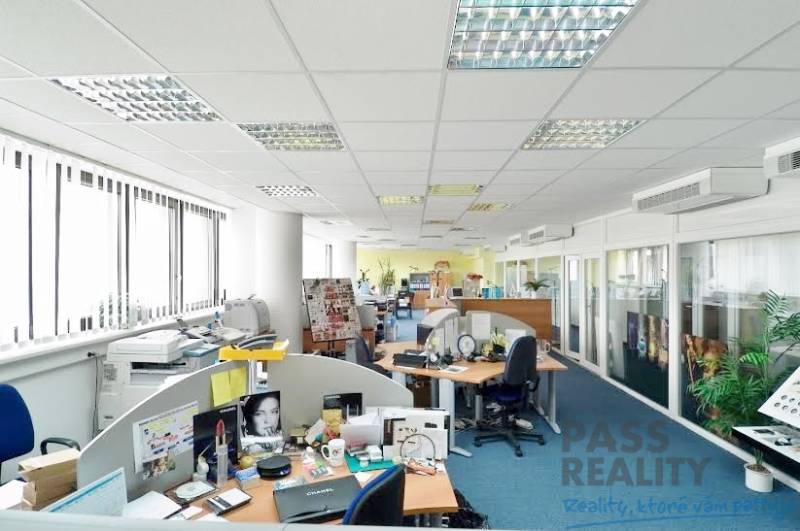 Kancelárie s kobercovou podlahou, veľkými oknami a množstvom pracovných stolov.